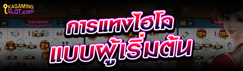 การแทงไฮโลแบบผู้เริ่มต้น 